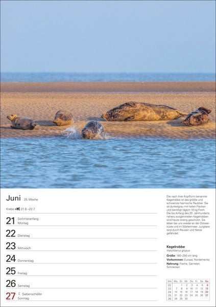 Produktbild: Heimische Tiere Wochenplaner 2027 - 53 faszinierende Fotografien