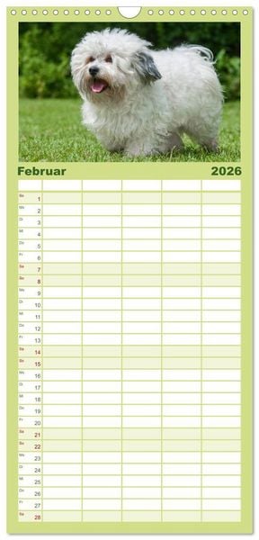 Produktbild: Familienplaner 2026 - Havaneser - Herz auf 4 Pfoten mit 5 Spalten (Wandkalender, 21 x 45 cm) CALVENDO