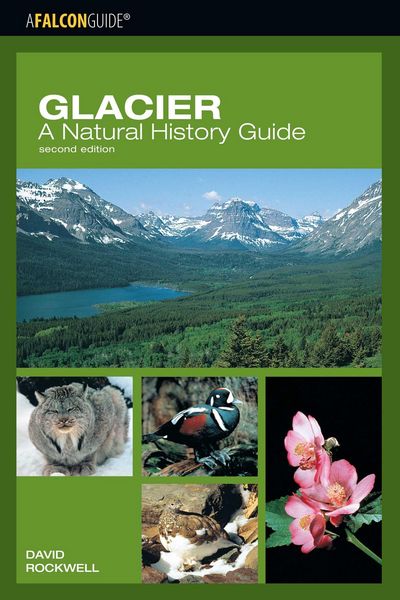 Produktbild: Glacier: A Natural History Guide
