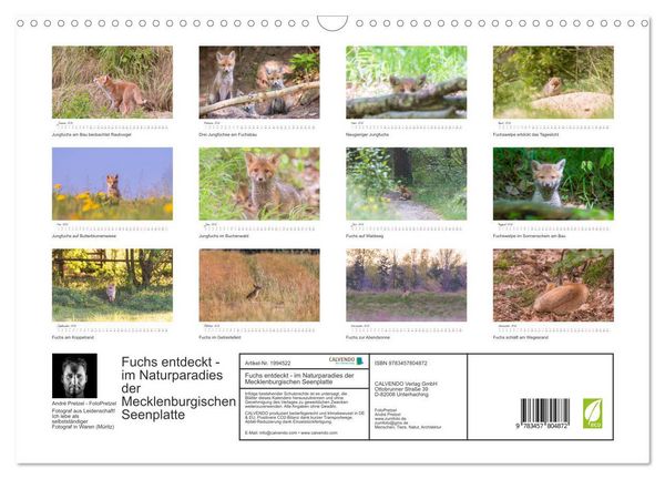 Produktbild: Fuchs entdeckt - im Naturparadies der Mecklenburgischen Seenplatte (Wandkalender 2026 DIN A3 quer), CALVENDO Monatskalender