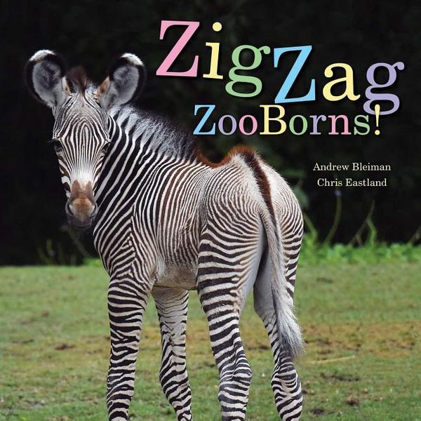 Produktbild: Zigzag Zooborns!