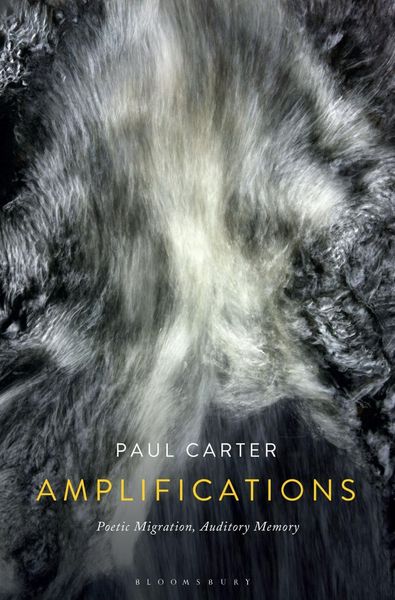 Produktbild: Amplifications