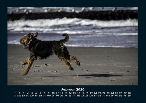 Produktbild: Str&auml;nde der Welt 2026 Fotokalender DIN A4