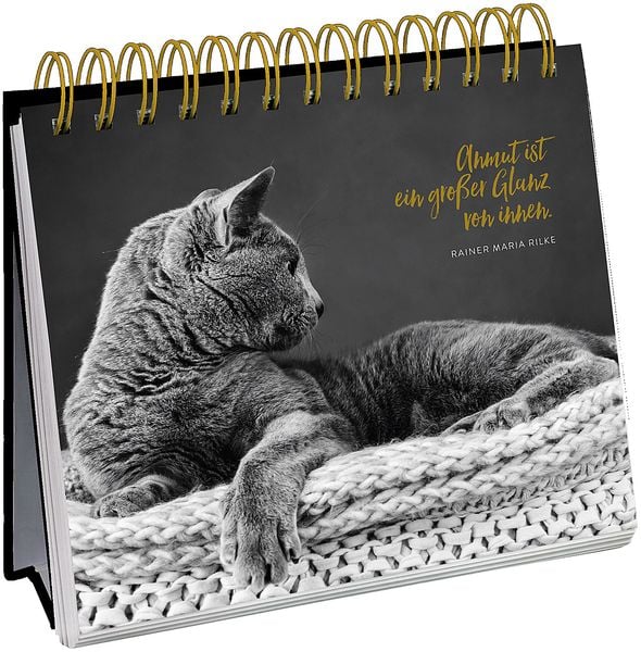 Produktbild: Inspirierende Worte f&uuml;r Katzenfreunde