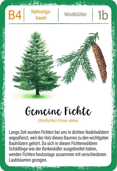 Produktbild: Expedition Natur Quartett B&auml;ume