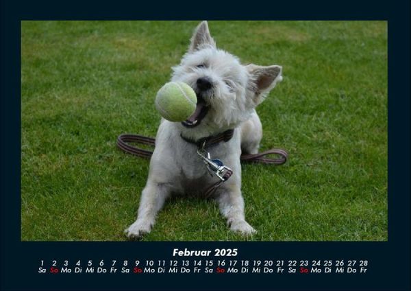 Produktbild: Hundezauber 2025 Fotokalender DIN A4