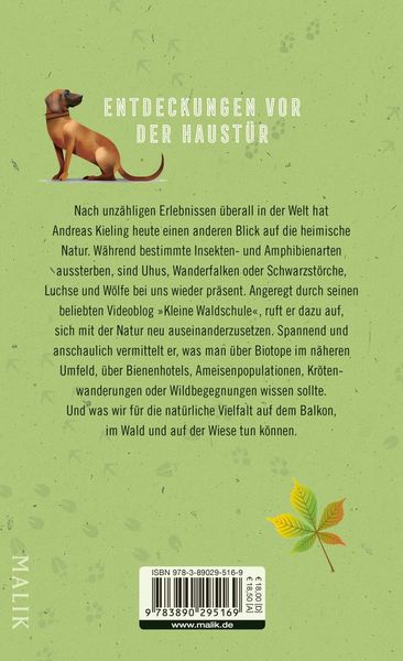 Produktbild: Kielings kleine Waldschule