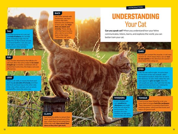 Produktbild: Pounce! a How to Speak Cat Training Guide
