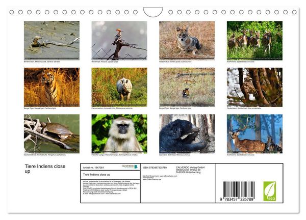 Produktbild: Tiere Indiens close up (Wandkalender 2026 DIN A4 quer), CALVENDO Monatskalender