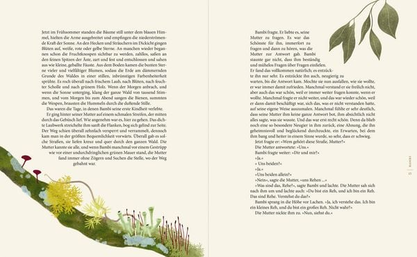 Produktbild: Magie des Waldes