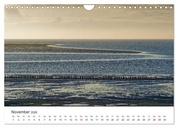 Produktbild: Schutzgebiet Wattenmeer (Wandkalender 2026 DIN A4 quer), CALVENDO Monatskalender