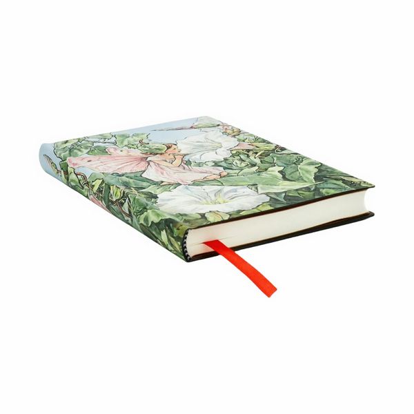 Produktbild: Notizbuch, Fee mit wei&szlig;er Winde, Mini, Liniert