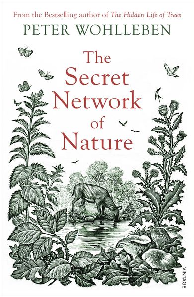 Produktbild: The Secret Network of Nature