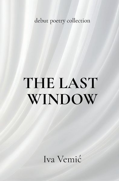 Produktbild: The Last Window