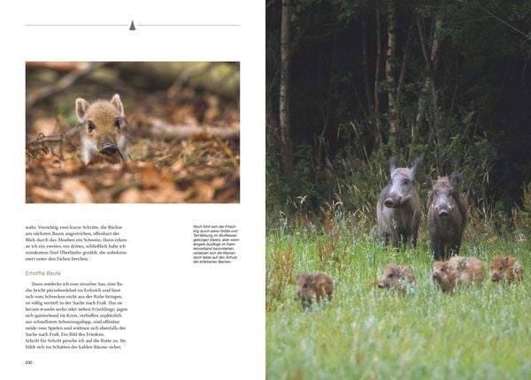 Produktbild: Besondere Jagdmomente