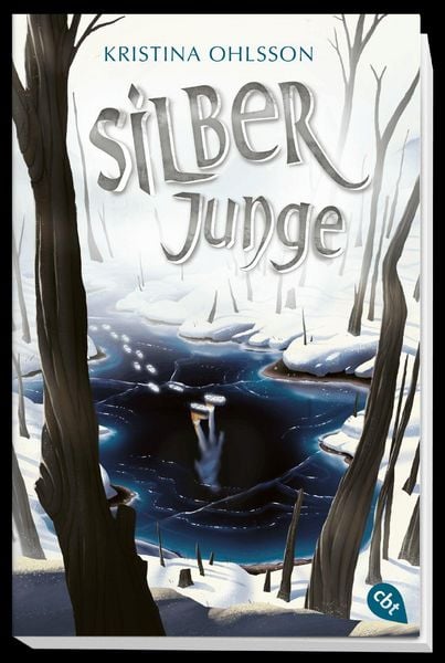 Produktbild: Silberjunge