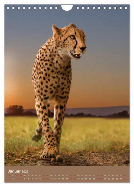 Produktbild: Portraits of Animals (Wandkalender 2026 DIN A4 hoch), CALVENDO Monatskalender