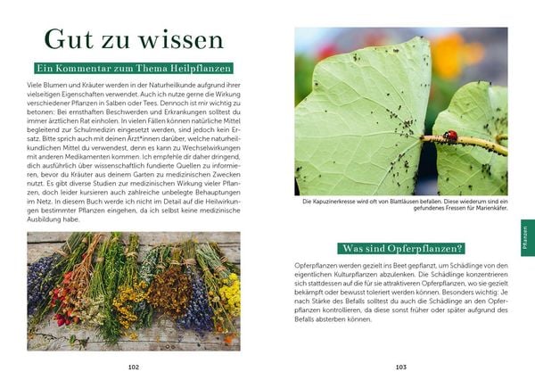 Produktbild: Das Gem&uuml;segarten 1 x 1