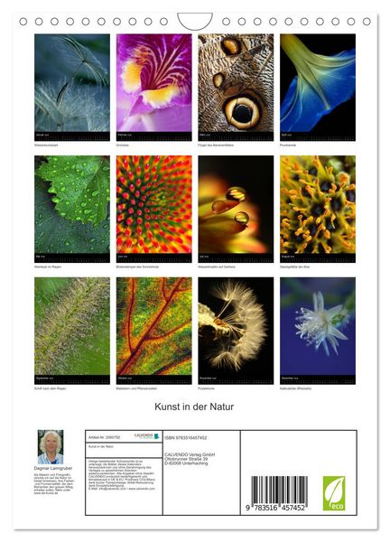 Produktbild: Kunst in der Natur (Wandkalender 2026 DIN A4 hoch), CALVENDO Monatskalender