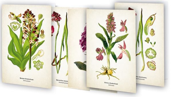 Kunstklappkarten 'Zauberhafte Orchideen'