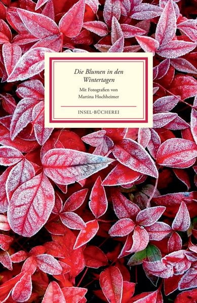 Produktbild: Die Blumen in den Wintertagen