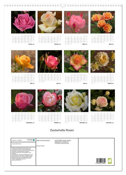 Produktbild: Zauberhafte Rosen (Wandkalender 2026 DIN A2 hoch), CALVENDO Monatskalender