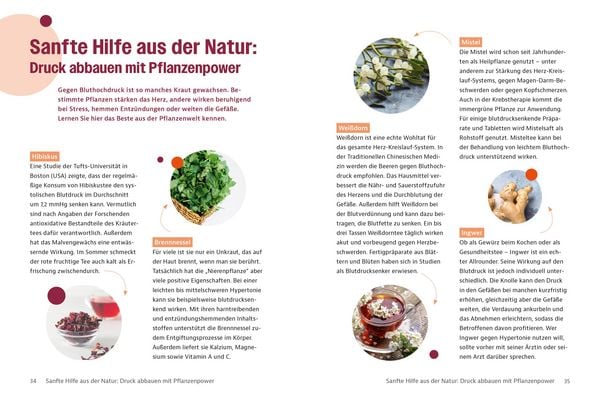 Gesund mit Visite – Bluthochdruck