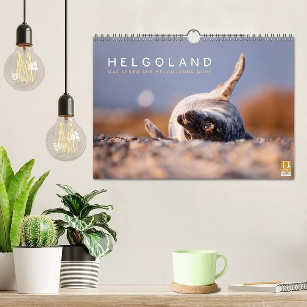 Produktbild: Helgoland - Das Leben auf der D&uuml;ne Helgolands (Wandkalender 2026 DIN A4 quer), CALVENDO Monatskalender