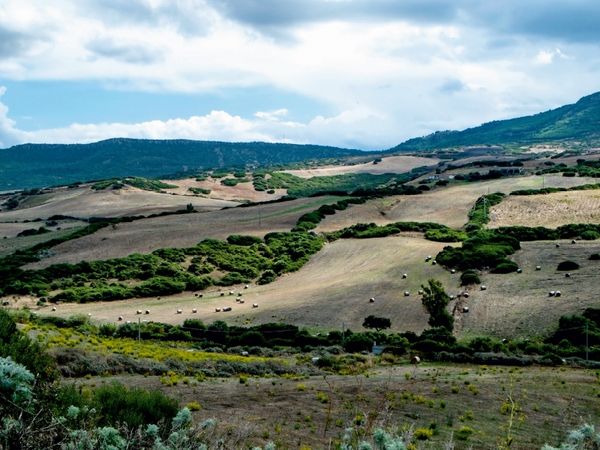 Produktbild: CALVENDO Puzzle Herbstliche Felder auf Sardinien | 1000 Teile Lege-Gr&ouml;&szlig;e 64x48cm Foto-Puzzle f&uuml;r gl&uuml;ckliche Stunden