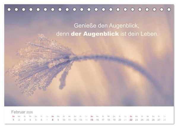 Produktbild: Zauberhafte Spr&uuml;che - Bunte Seelenbl&uuml;ten (Tischkalender 2026 DIN A5 quer), CALVENDO Monatskalender