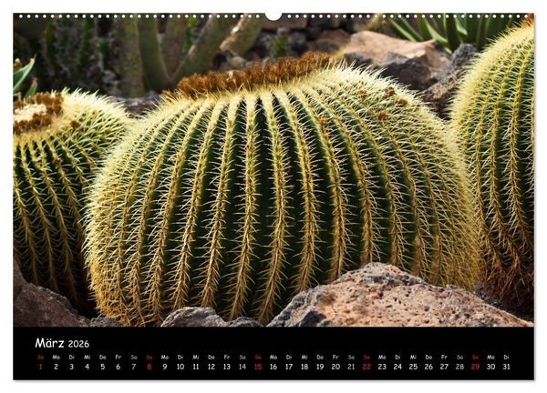 Produktbild: Lanzarote (Wandkalender 2026 DIN A2 quer), CALVENDO Monatskalender