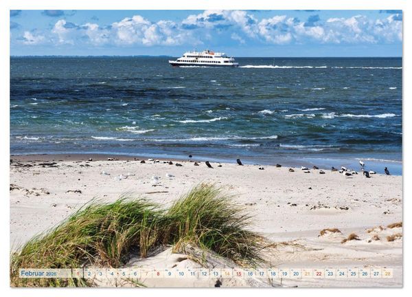 Produktbild: Amrum Gl&uuml;cksort (Wandkalender 2026 DIN A3 quer), CALVENDO Monatskalender