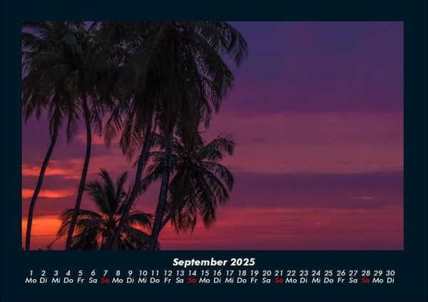 Produktbild: Palmentraum 2025 Fotokalender DIN A4
