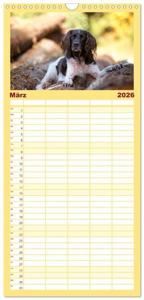 Produktbild: Familienplaner 2026 - Passion Jagdhund - Kleiner M&uuml;nsterl&auml;nder mit 5 Spalten (Wandkalender, 21 x 45 cm) CALVENDO