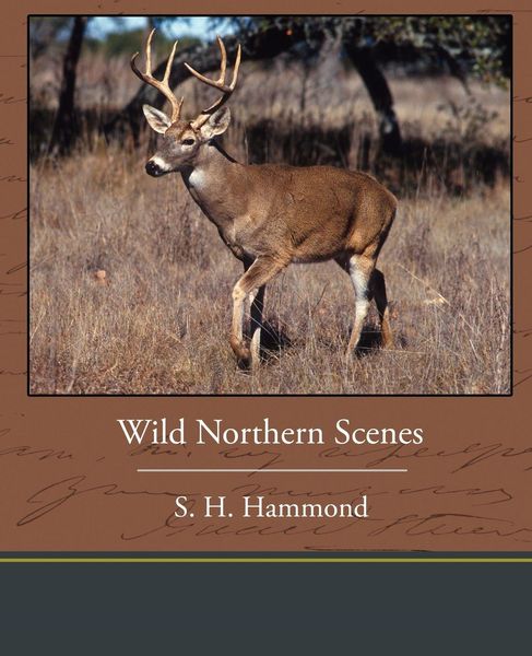 Produktbild: Wild Northern Scenes