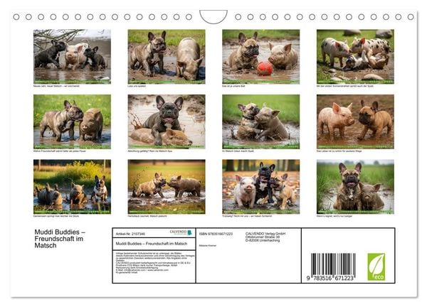 Produktbild: Muddi Buddies &ndash; Freundschaft im Matsch (Wandkalender 2026 DIN A4 quer), CALVENDO Monatskalender