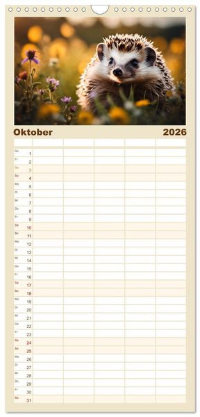 Produktbild: Familienplaner 2026 - Igel - Wildtier des Jahres 2024 mit 5 Spalten (Wandkalender, 21 x 45 cm) CALVENDO