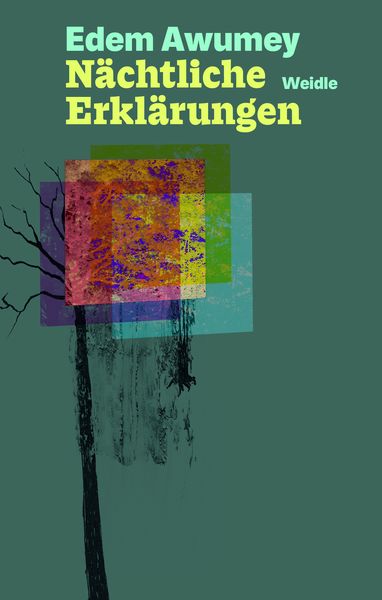 Produktbild: N&auml;chtliche Erkl&auml;rungen