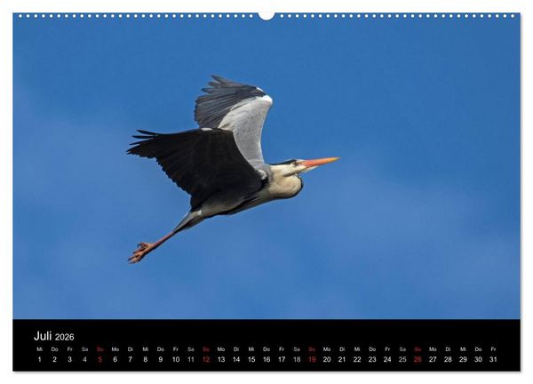 Produktbild: Wilde Heimat (hochwertiger Premium Wandkalender 2026 DIN A2 quer), Kunstdruck in Hochglanz