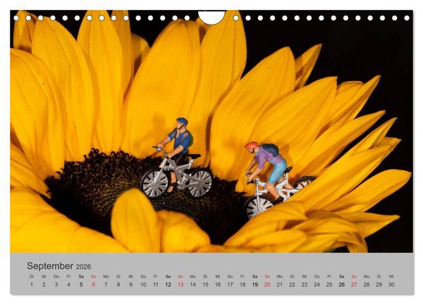 Produktbild: Miniaturen - Das Leben der Minis (Wandkalender 2026 DIN A4 quer), CALVENDO Monatskalender
