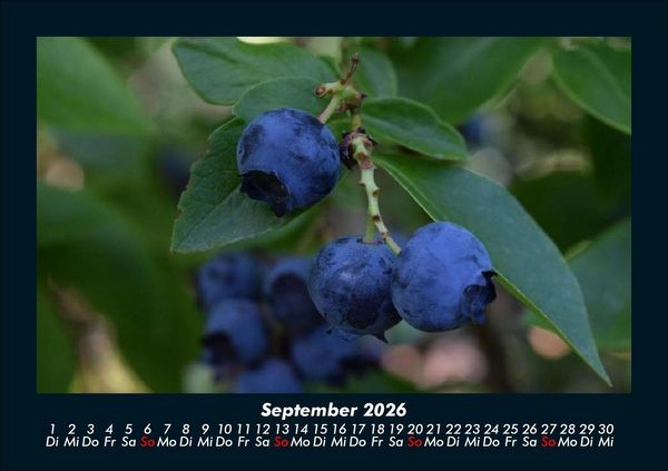 Produktbild: Obstkalender 2026 Fotokalender DIN A5