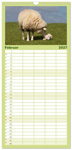 Produktbild: Familienplaner 2027 - Deichschafe - H&uuml;ter der Deiche in Nordfriesland mit 5 Spalten (Wandkalender, 21 x 45 cm) CALVENDO