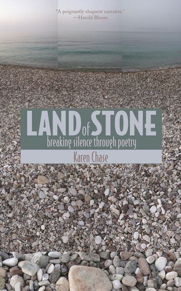 Produktbild: Land of Stone