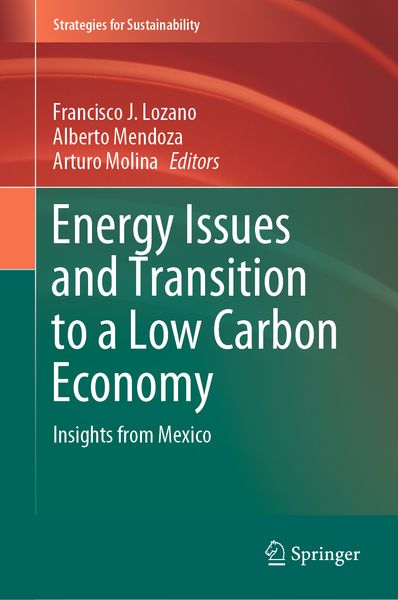 Produktbild: Energy Issues and Transition to a Low Carbon Economy