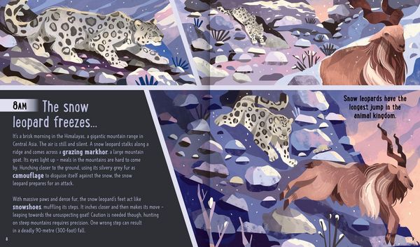 Produktbild: Big Cats (A Day in the Life)