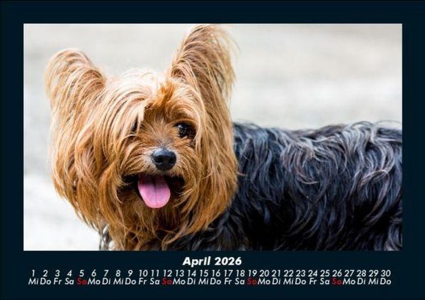 Produktbild: Welt der Tiere 2026 Fotokalender DIN A5