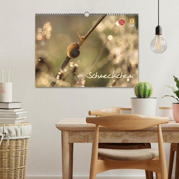 Produktbild: Schneckchen (Wandkalender 2026 DIN A3 quer), CALVENDO Monatskalender