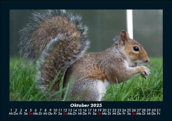 Produktbild: London 2025 Fotokalender DIN A5