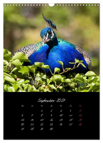 Produktbild: Tiere (Wandkalender 2027 DIN A3 hoch), CALVENDO Monatskalender