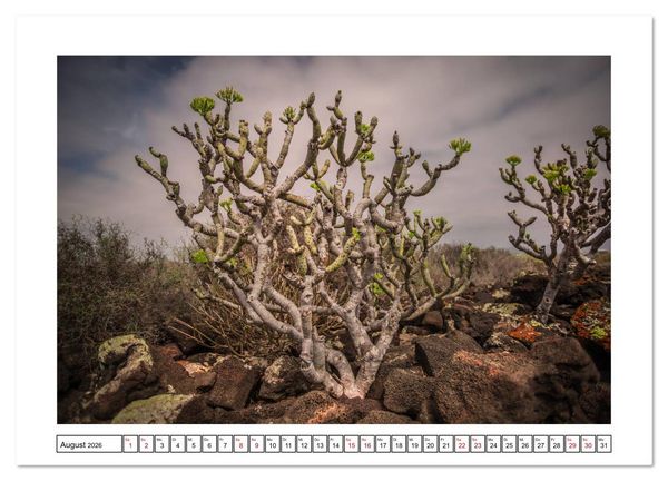 Produktbild: Lanzarote - Naturwunder im Atlantik (Wandkalender 2026 DIN A4 quer), CALVENDO Monatskalender
